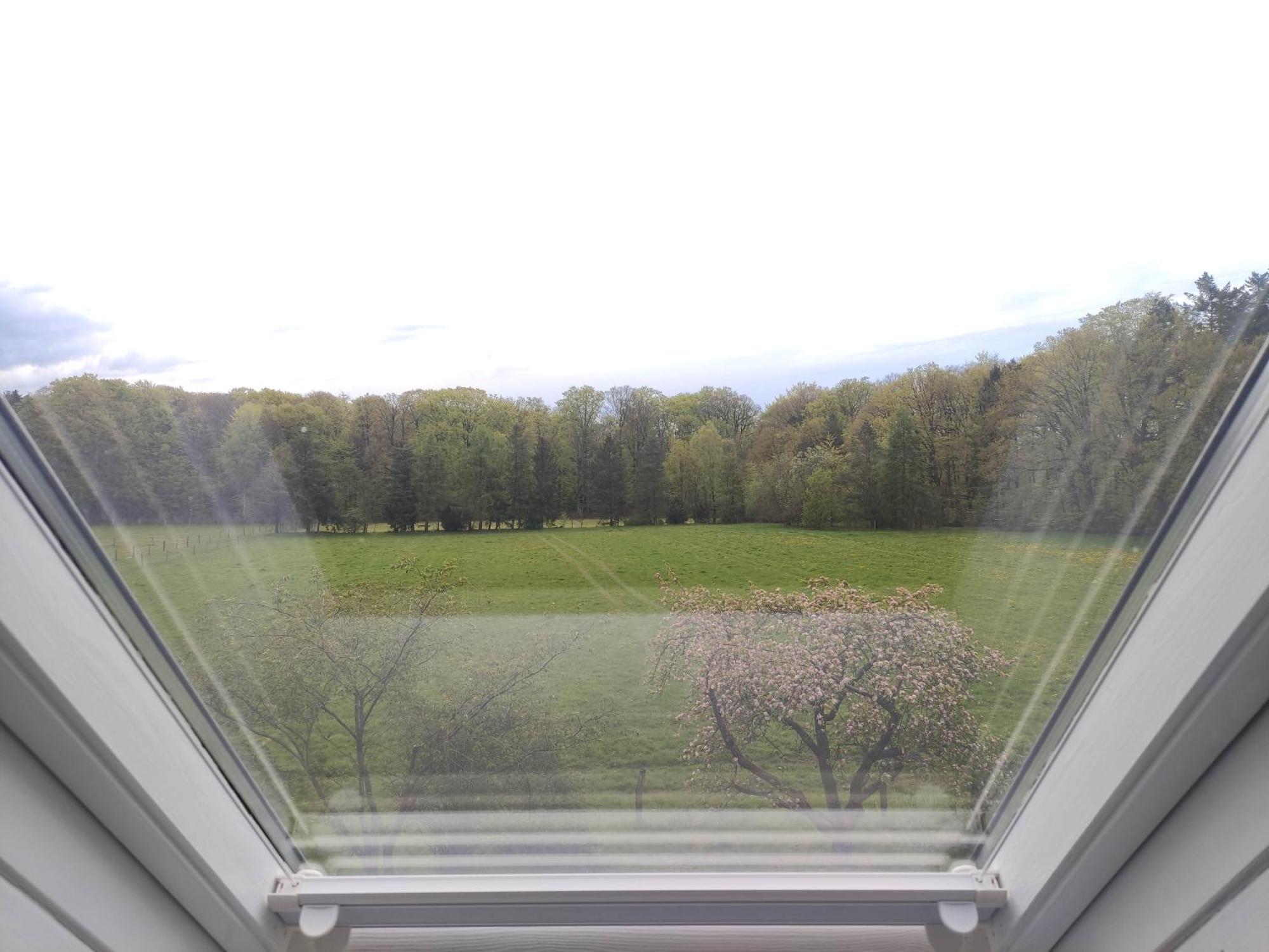 FeWo - Dat tweete Tohuus - Im Herzen der Lüneburger Heide Soltau Exterior foto